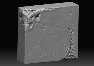 mur_zb_sculpt.jpg